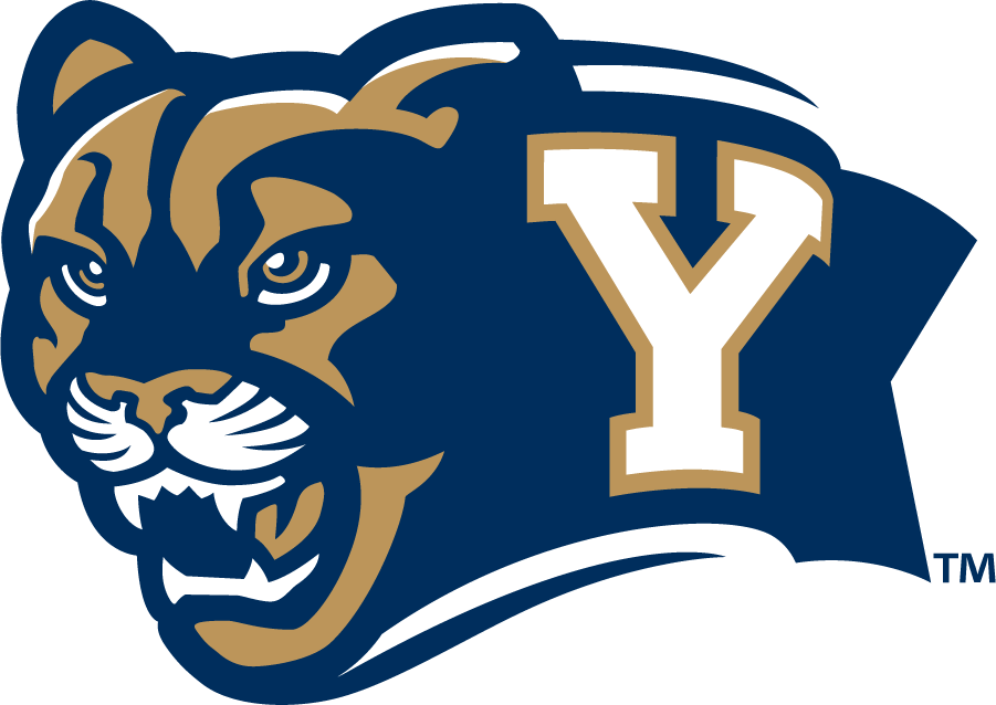 Brigham Young Cougars 2010-2014 Secondary Logo DIY iron on transfer (heat transfer)